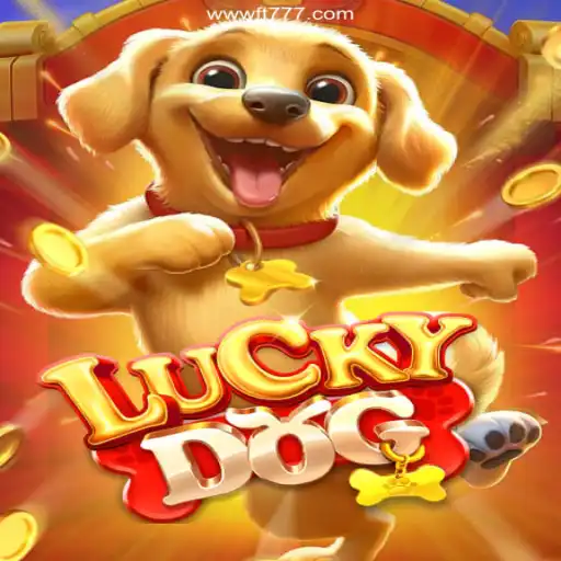 Discover the Thrills of LuckyDog on FT777: A Melhor Plataforma de Apostas no Brasil